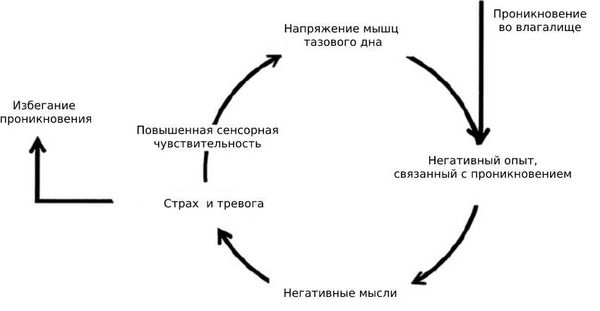 Цикл страха и мышечного напряжения при вагинизме