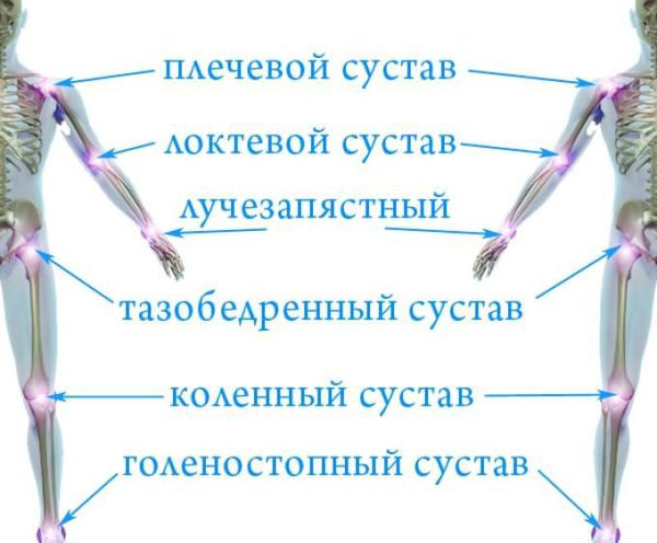 Крупные суставы тела