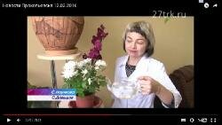 Сюжеты в программе Новости